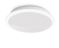 Светильник Philips 309403116 (170955)
