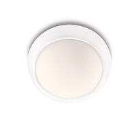 Светильник Philips 320173116 (170961)
